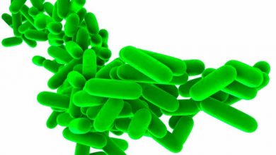 What do probiotics mean and how are they defined?