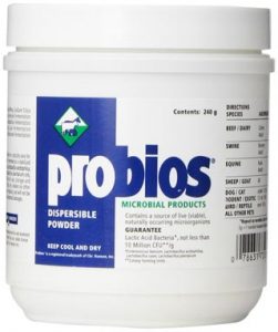 Probios-for-horses-reviews-ingedients-dosage