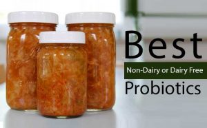 Best non dairy free probiotics for adults,toddlers &babies