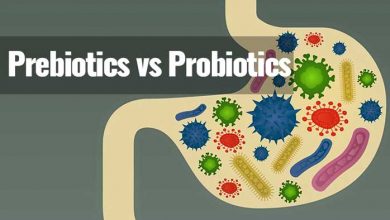 prebiotics vs probiotics differences