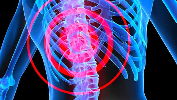 how probiotics may help spinal cord injury recovery