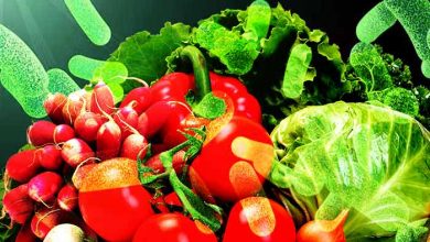 Best probiotic vegetables and foods