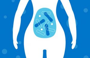 probiotics and menstrual cycle