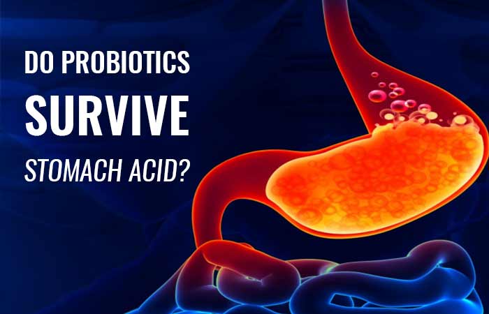 Do Probiotic Supplements Survive Stomach Acid? | Best Probiotics Info